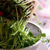 豆苗と切り干し大根のさっぱり中華和え*湯かけ調理で作り置き◎の工程3