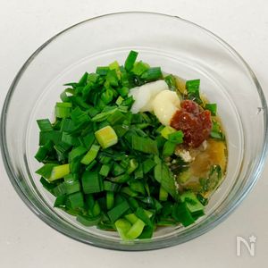 食品 ニラ にら ネギ 生姜 04