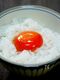 濃厚「卵黄たまごかけご飯」