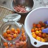 完熟梅で作る【はちみつ梅干し】の工程4