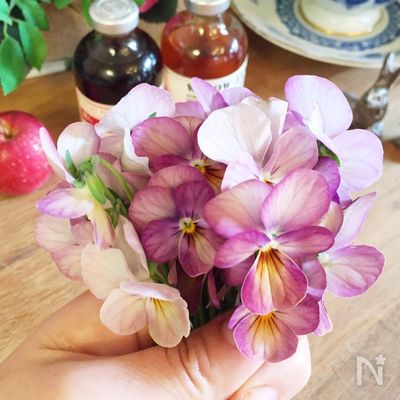 ビオラ エディブルフラワー の砂糖漬け By 前田量子 レシピサイト Nadia ナディア プロの料理家のおいしいレシピ