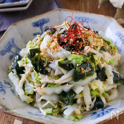 【白菜とえのきとワカメのうま塩ナムル】たっぷり食物繊維♪