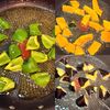 肉いらずの満足おかず！彩り夏野菜のピリ辛香味だれの工程5