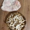 【きのこクリームソースチキン】鶏むねで節約◎生クリーム不要の下準備