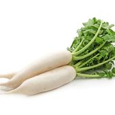 大根の保存方法