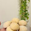 ミーシャʕ•̫͡•ʔの作ってみた!投稿(【スノーボールクッキー】簡単レシピ！食感がたまらない♪)