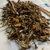 1399872の作ってみた!投稿(すぐできる！ふんわり洋風田作り)