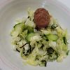 1バーバミーの作ってみた!投稿(箸が止まらない!簡単キャベツもみもみ)