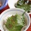 大葉のピリ辛漬け