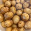 子供の大好物！飛騨の郷土料理！ころ芋の煮っ転がしの下準備