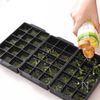 余ったハーブを使い切る！ハーブオイル冷凍の工程3