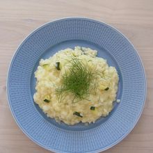 ズッキーニとフヌイユのリゾット