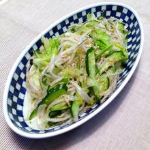 天塩やきしおdeさっぱりナムル