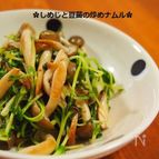 こんがりシメジと豆苗の炒めナムル