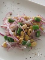 大豆とレッドオニオンとインゲンのサラダ