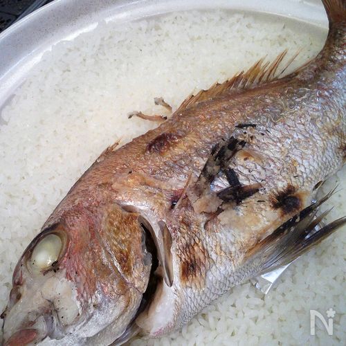 鯛飯