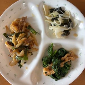 さっちゃんの作ってみた!投稿(【天才的に旨い♡白菜と豚こま肉のとろみ煮】とろっとご飯が進む)
