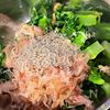 ビタミン&カルシウムたっぷり！菜の花のしらす和えの工程4