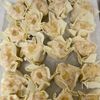 カズノコシュウマイの工程5