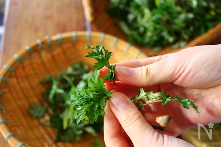 がまざわたかこのわざわざ手仕事vol 6 よもぎ餅 草餅 レシピサイト Nadia ナディア プロの料理家のおいしいレシピ