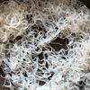米粉で絡む【明太豆乳クリームしらたき】の工程1