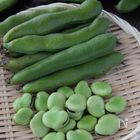 本当に美味しいそら豆のゆで方｜何度も作りたい定番レシピVol.194