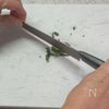 レンジで簡単!ドライ・イタリアンパセリ♪の工程7