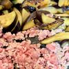 甜麺醤でこくうま!ご飯が進む♪【中華風なす味噌炒め】の工程5