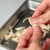 【春キャベツとささみのコールスローサラダ】これ作れたら〜15の工程3