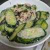 鶏皮坊主の作ってみた!投稿(【簡単！】きゅうりのツナのゆかりマヨサラダ)