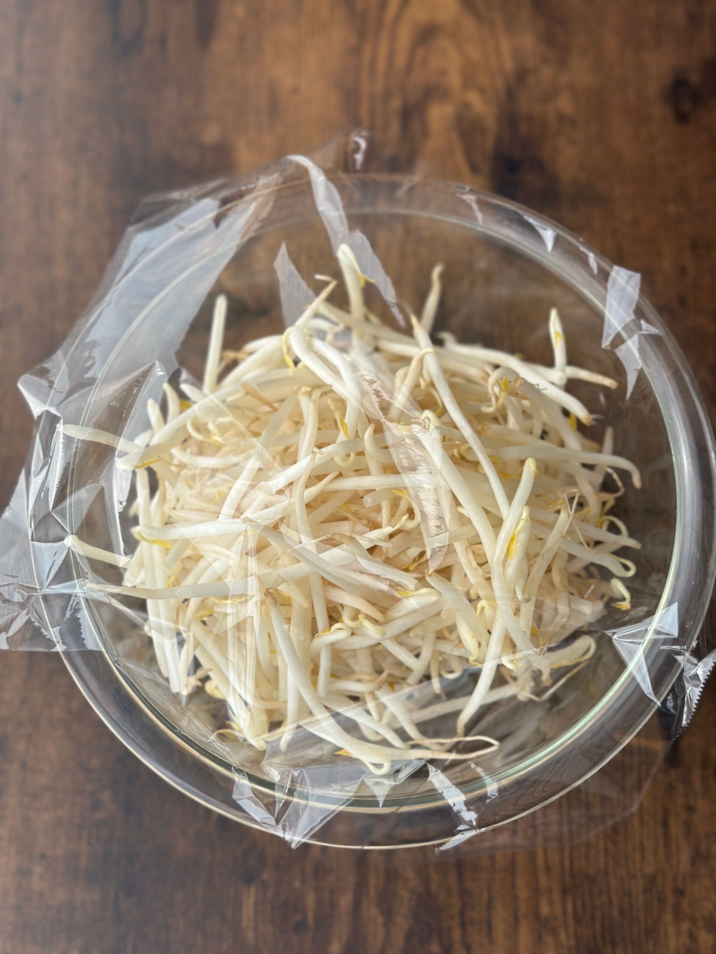 レンチンして和えるだけ！やみつき！【中華風 無限もやし】 | レシピ