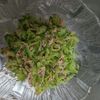 鶏皮坊主の作ってみた!投稿(【ゴーヤのツナサラダ】疲労回復♪免疫力アップに♪)