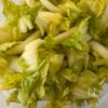 白菜だけで超絶美味しい《にんにく味噌マヨサラダ》の下準備