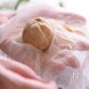 栗きんとん『砂糖と栗だけで作る簡単すぎる日本の絶品スイーツ』の工程10