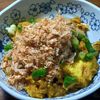 ひろりぃの作ってみた!投稿(【絹揚げとツナの和風カレー風味】レンチン一発！冷やしても◎)