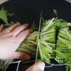 秒で完成！水菜とキムチのチーズサラダの工程1