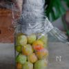 ちょうど良い♡我が家の【はちみつ梅干し】の工程5