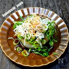 明けましておめでとう
「ねぎジャコまみれ大根ステーキ」
