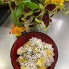 そら・ゆずの作ってみた!投稿(白だしで栗ご飯)