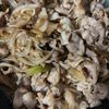 ふうちゃんの作ってみた!投稿(【我が家の生姜焼き】激うま!!お肉柔らか♡ご飯が進む!)