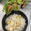 そら・ゆずの作ってみた!投稿(甘み際立つ♡ふっくら栗ごはん)