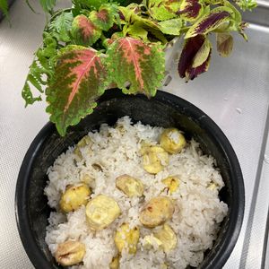 そら・ゆずの作ってみた!投稿(甘み際立つ♡ふっくら栗ごはん)
