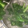 Simpleが1番★菜の花の辛子和えの工程6