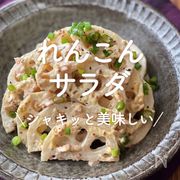 「れんこんサラダ」35選｜シャキッと美味しい♪