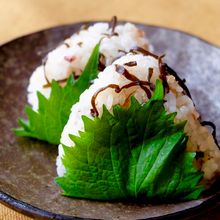 【混ぜるだけ♪しそ巻き塩こんぶおにぎり】