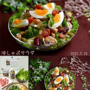 クラ蔵の作ってみた!投稿(たんぱく質たっぷり！パワーチャージ冷しゃぶサラダ)