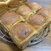 こむぎの作ってみた!投稿(レーズンミニ食パン。)