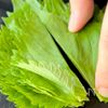 切って漬けるだけ！【長芋しそ漬け】の工程3