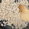 スタミナ満点♪【にら肉味噌ごはん】ぴり辛で食欲が進む！の工程1