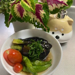 そら・ゆずの作ってみた!投稿(【茄子とピーマンの揚げ浸し】冷やしても◎ジュワッと染みうま♪)
